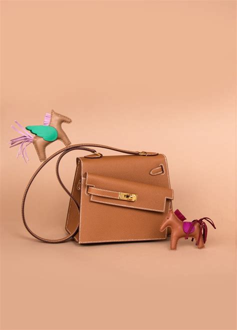 hermes disorder bag